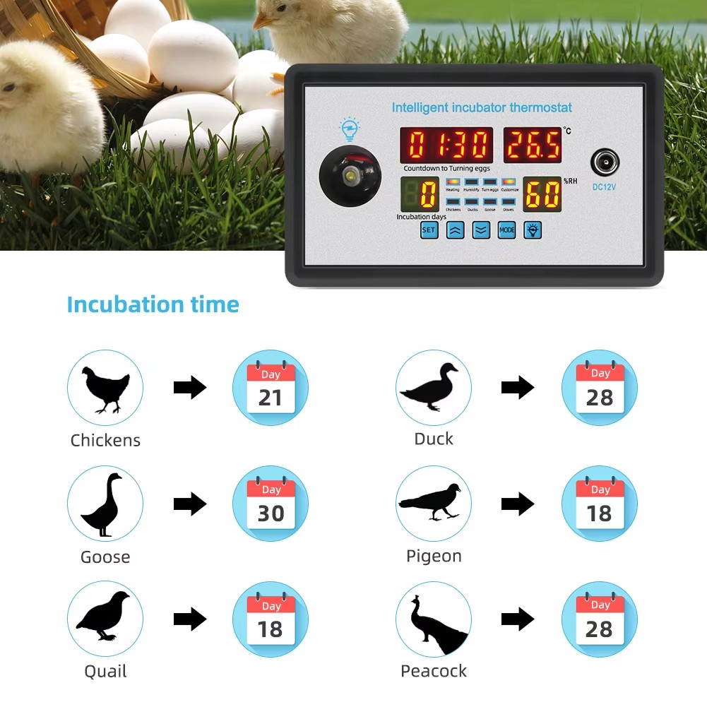 Poultry Incubator - ZFX-W9002 12V/220V 계란 부화기 컨트롤러 온도