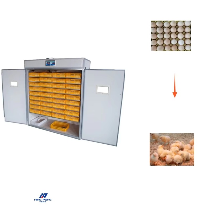Poultry Incubator - 가금류 계란 부화기 태양열 계란 부화기