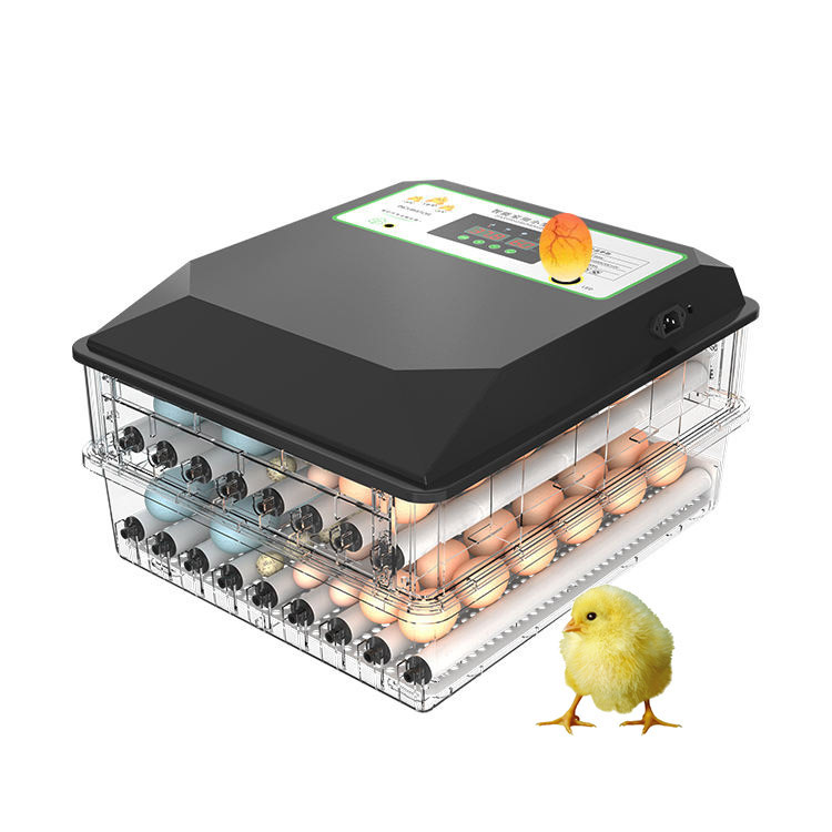 Poultry Incubator - 광범위하게 사용되는 자동 가금류 부화기 소형