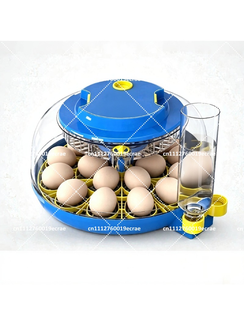 Poultry Incubator - 가정용 애완동물 자동 계란 부화기, 디지털