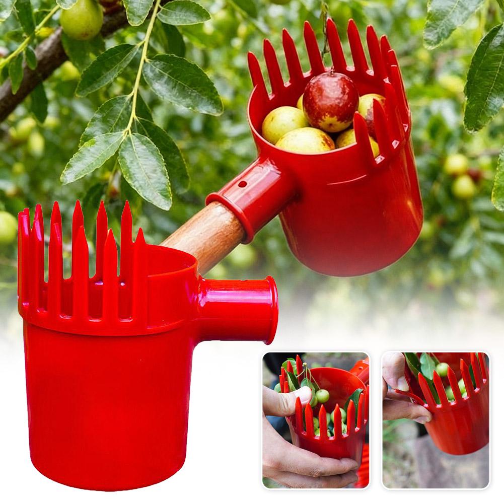 Agriculture Tomato Farming - 1개 소형 과일 수확기 휴대용 수확