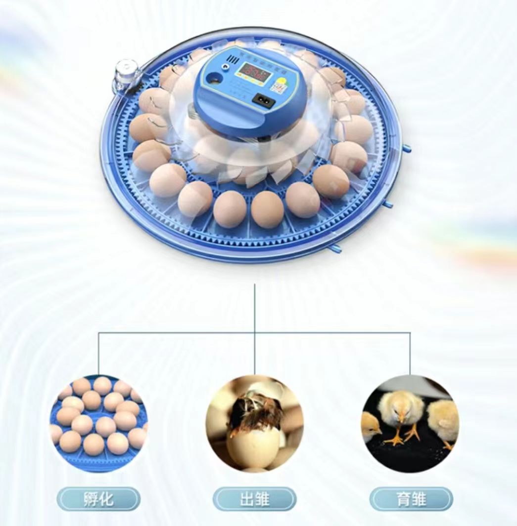 Poultry Incubator - 20/24/36/56/96/112 계란용 자동 부화기, 가금류 계란
