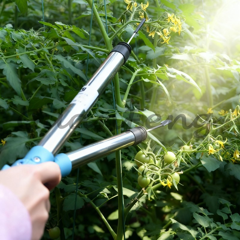 220V-50Hz 6A 전기 진동 꽃가루 살포기 휴대용 - Agriculture Tomato Farming 리뷰 및 가격