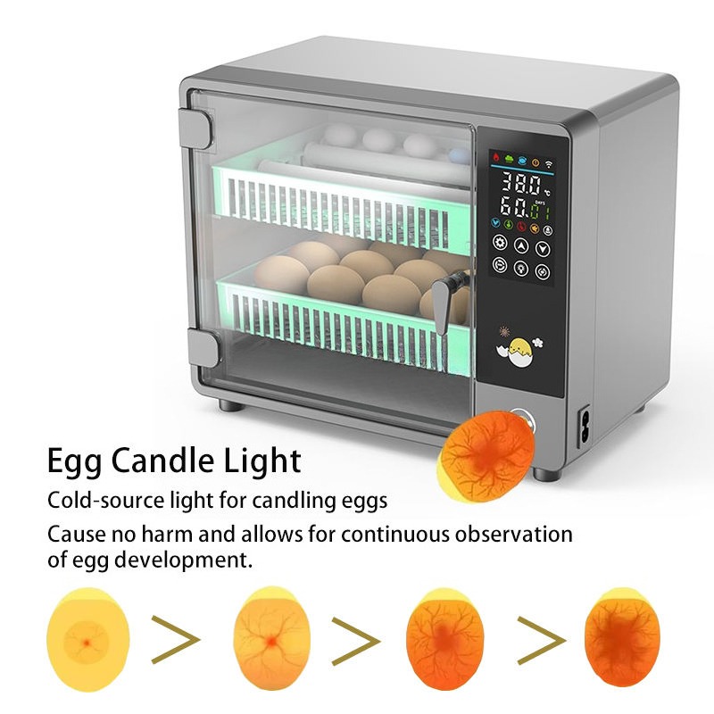 공장 직송 2026년형 완전 자동 디지털 지능형 소형  - Poultry Incubator 리뷰 및 가격