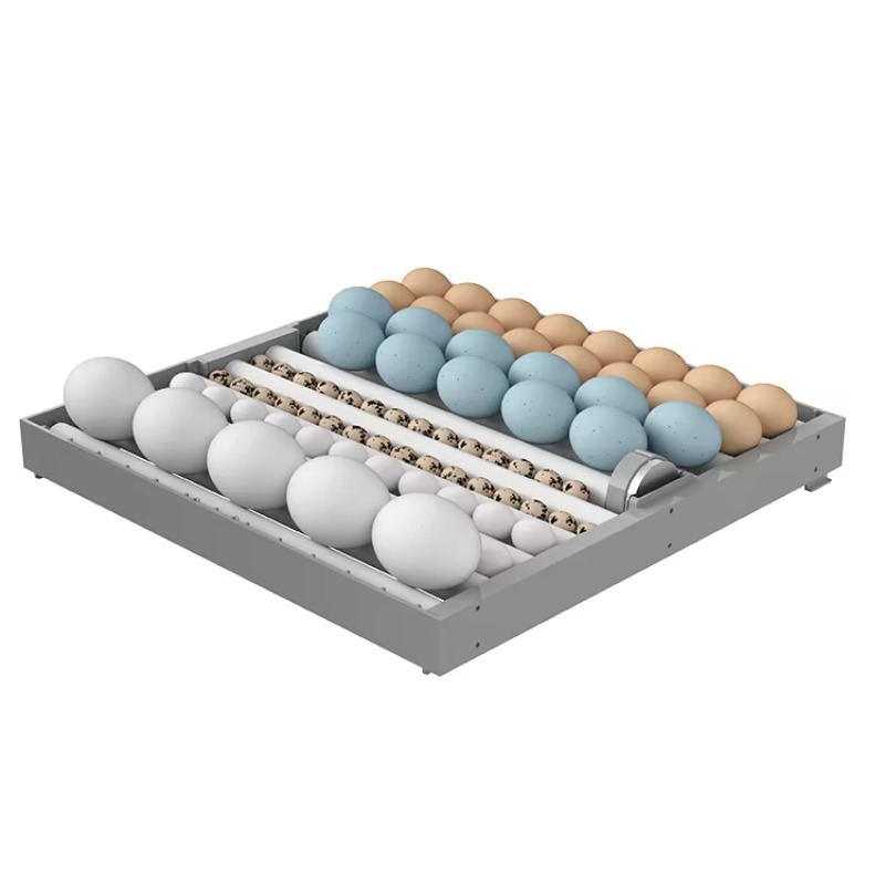 2026 7층 448구 지능형 인큐베이터 자동 전란 온 - Poultry Incubator 리뷰 및 가격
