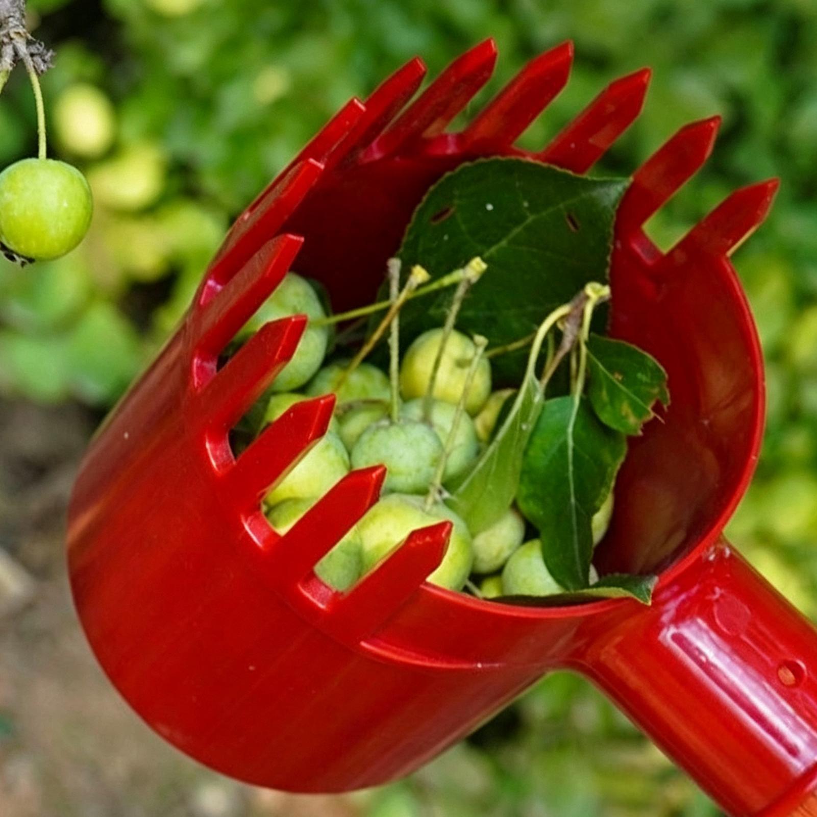 휴대용 과일 수확 도구, 체리 토마토, 블루베리 수확용 - Agriculture Tomato Farming 리뷰 및 가격