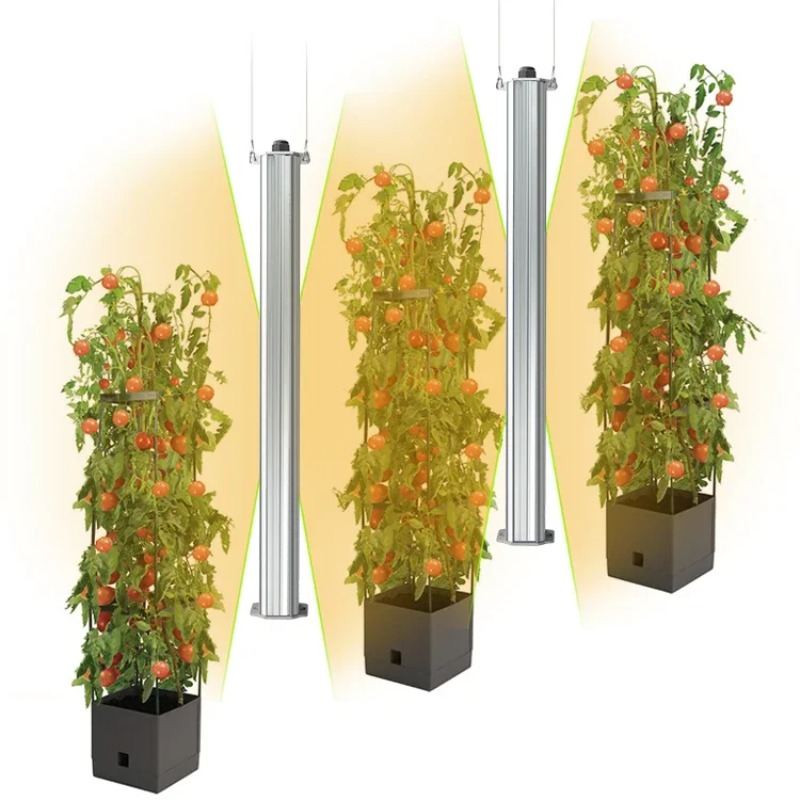 최고의 ETL 인증 플랜트 그린 월 농업 수직 정원 수 - Agriculture Tomato Farming 리뷰 및 가격