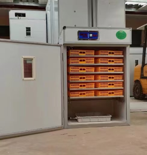 자동 계란 부화기 지능형 제어 가금류 부화기 계란 부화 - Poultry Incubator 리뷰 및 가격