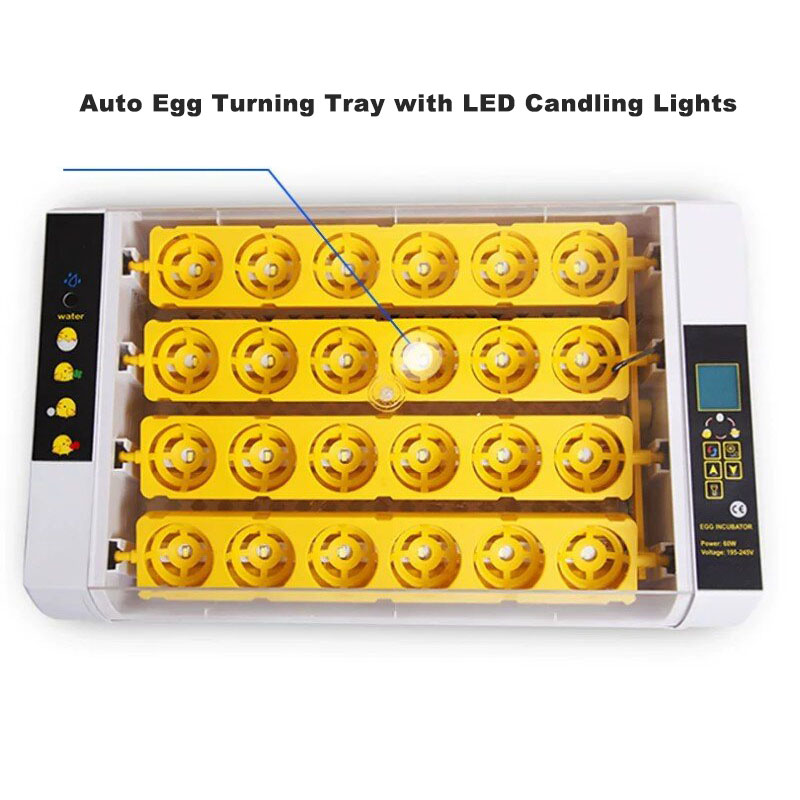 완전 자동 계란 부화기 디지털 온도 조절 부화 장치 - - Poultry Incubator 리뷰 및 가격