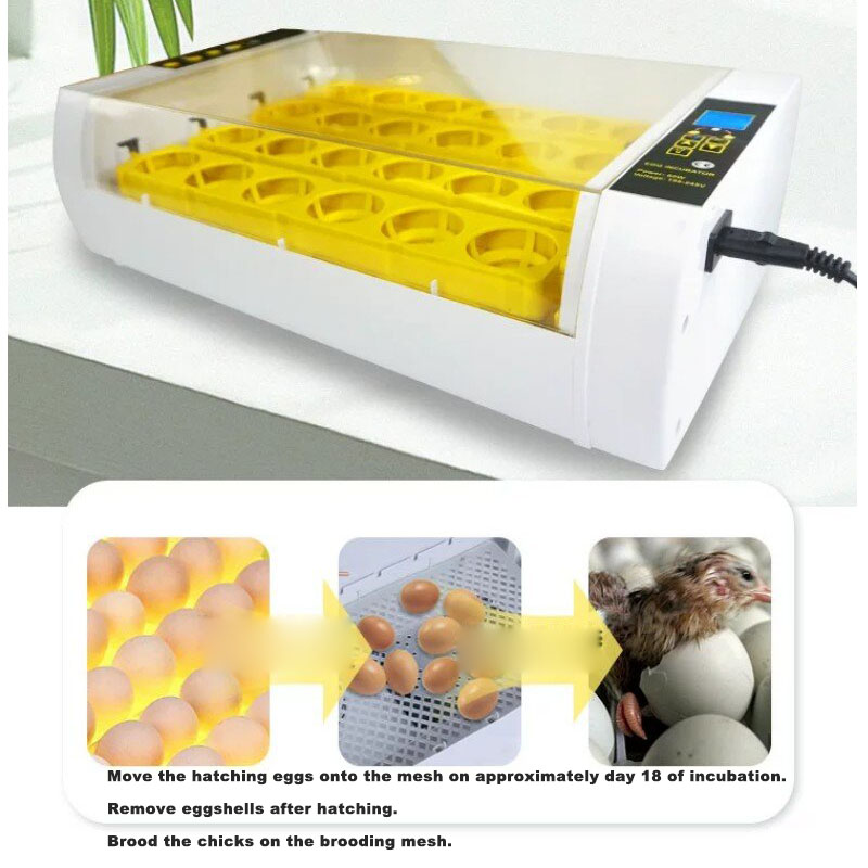 완전 자동 계란 부화기 디지털 온도 조절 부화 장치 - - Poultry Incubator 리뷰 및 가격