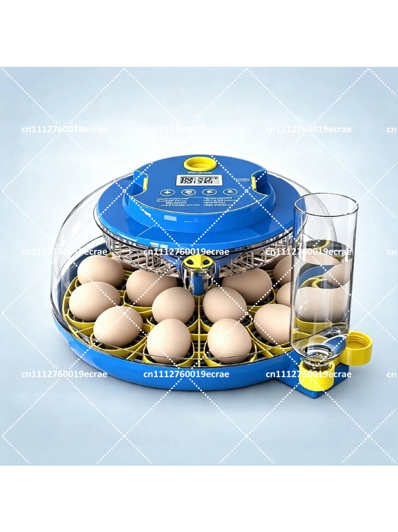 가정용 애완동물 자동 계란 부화기, 디지털 항온 습도  - Poultry Incubator 리뷰 및 가격