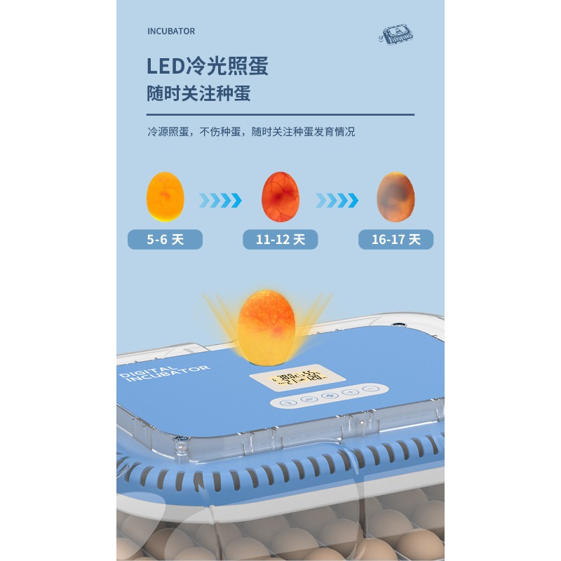 자동 계란 부화기 이중 전원 공급 가정용 가금류(닭,  - Poultry Incubator 리뷰 및 가격