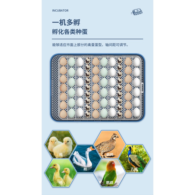 자동 계란 부화기 이중 전원 공급 가정용 가금류(닭,  - Poultry Incubator 리뷰 및 가격