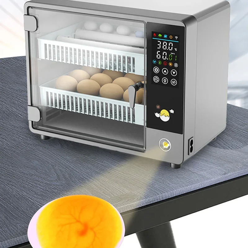 스마트 자동 계란 부화기, 디지털 온습도 조절 및 자동 - Poultry Incubator 리뷰 및 가격