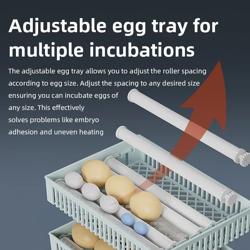 스마트 자동 계란 부화기, 디지털 온습도 조절 및 자동 - Poultry Incubator 리뷰 및 가격