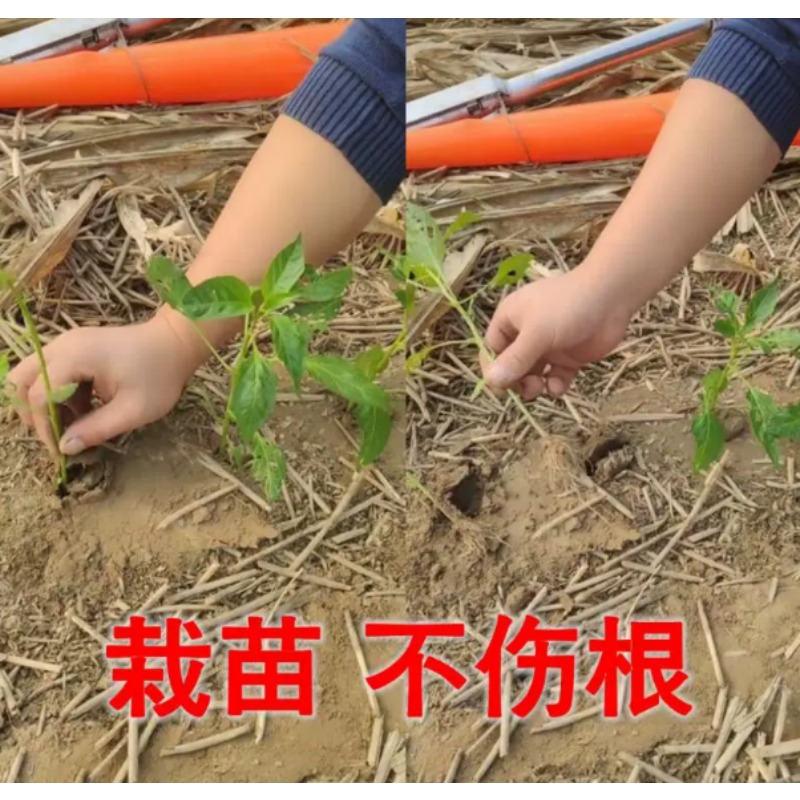 농업용 묘목 이식기 토마토, 피망 묘목 심기용 정원 재 - Vegetable Transplanter 리뷰 및 가격