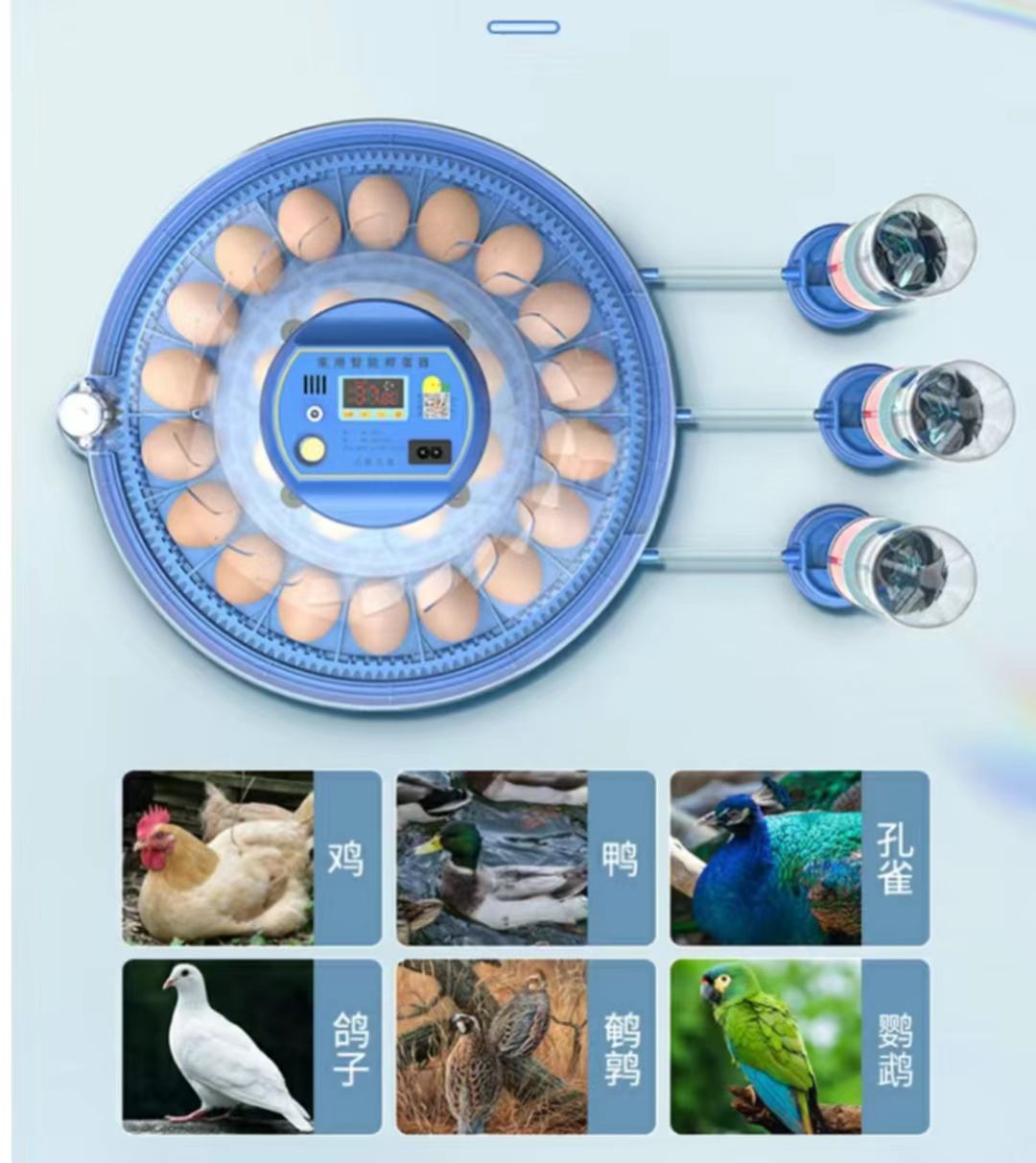 20/24/36/56/96/112 계란용 자동 부화기, - Poultry Incubator 리뷰 및 가격